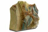 Free-Standing, Gary Green Jasper (Larsonite) Bog Wood - Oregon #334810-1